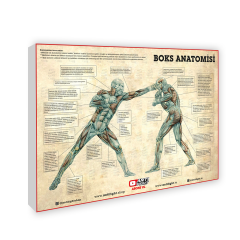 Boks Anatomisi Canvas Tablo